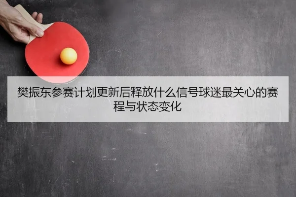 樊振东参赛计划更新后释放什么信号球迷最关心的赛程与状态变化
